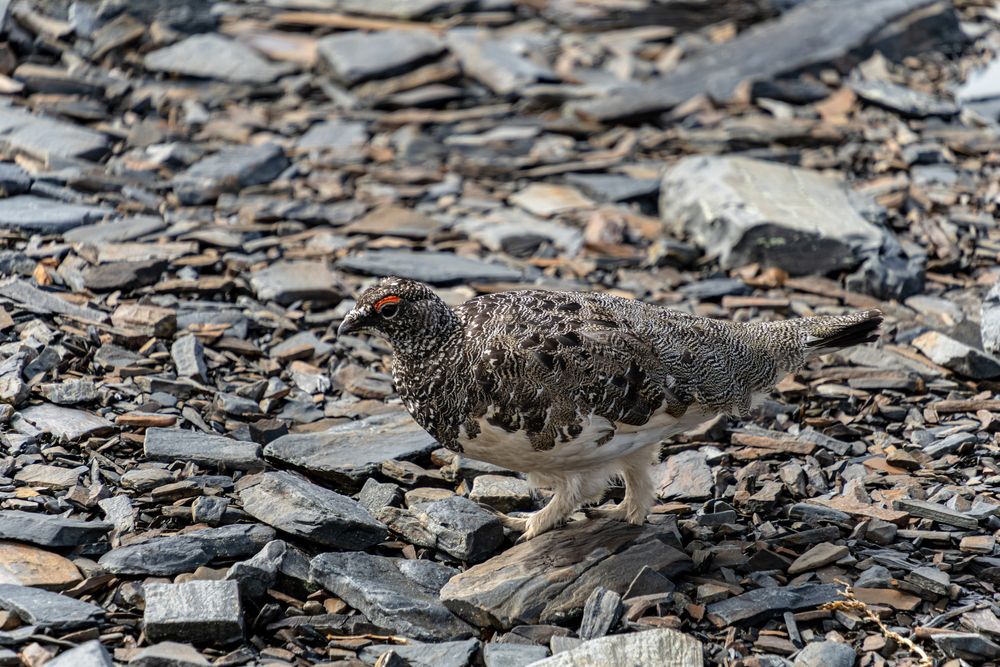 Photograph by Андрей Соколов