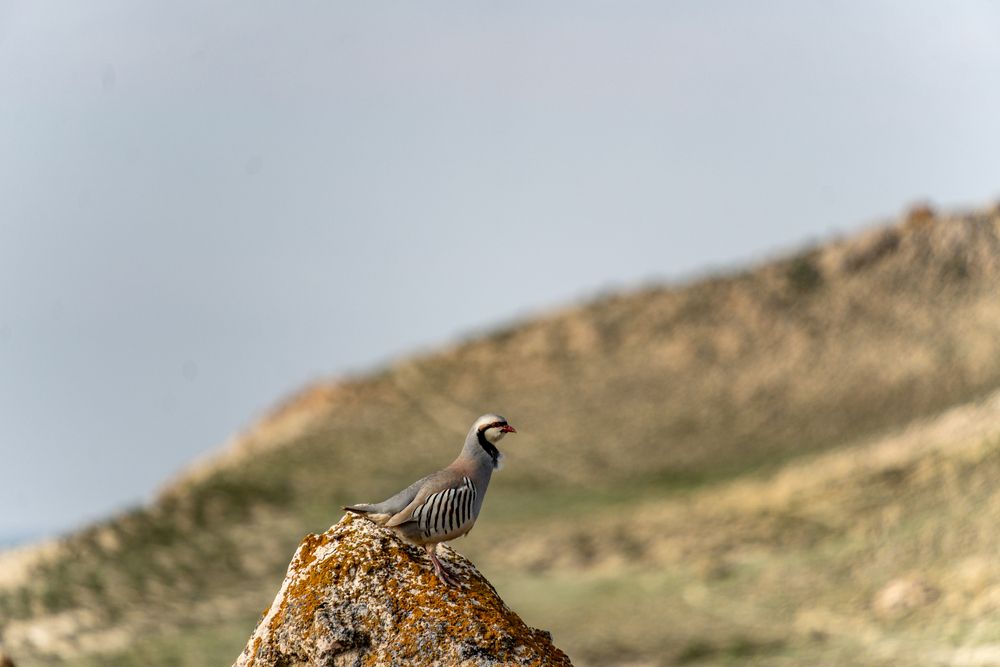 Photograph by Андрей Соколов