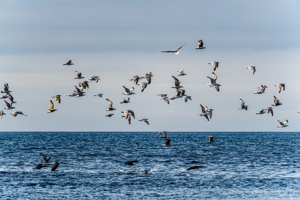 Photograph by Андрей Соколов