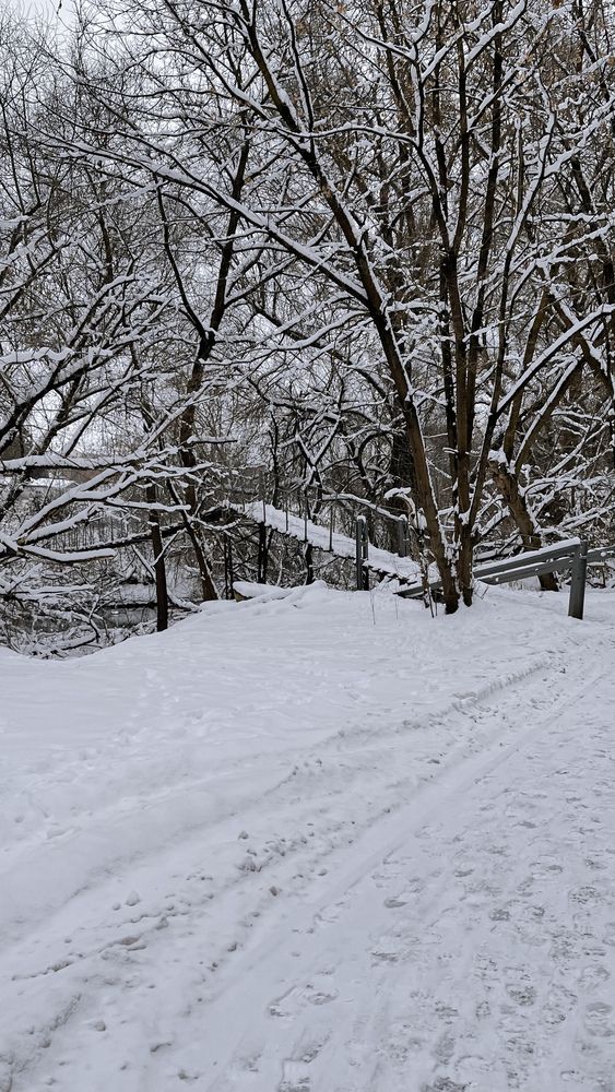 Photograph by Наталья Сергеевна