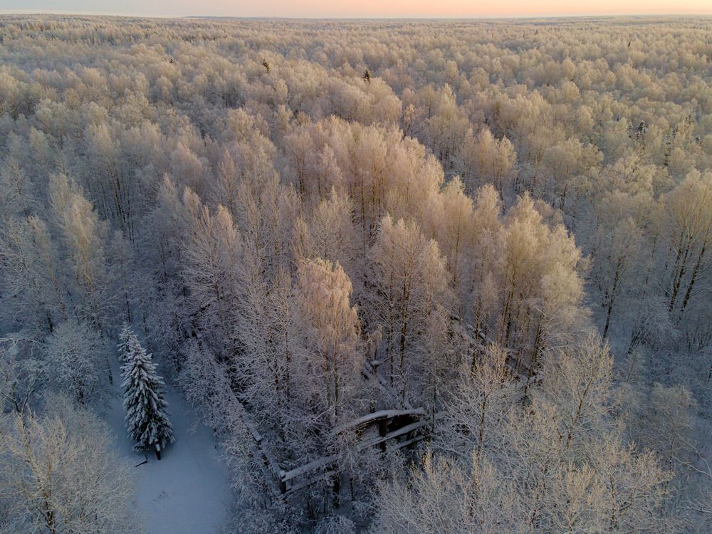 Photograph by Александр Коровин