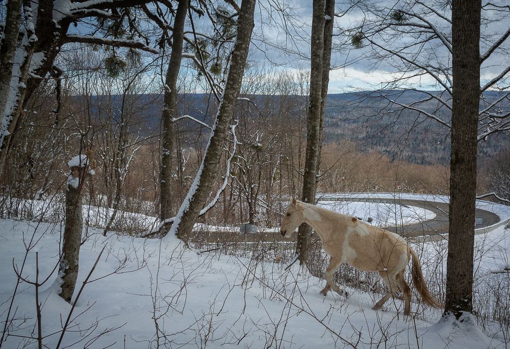 Photograph by Aндрей