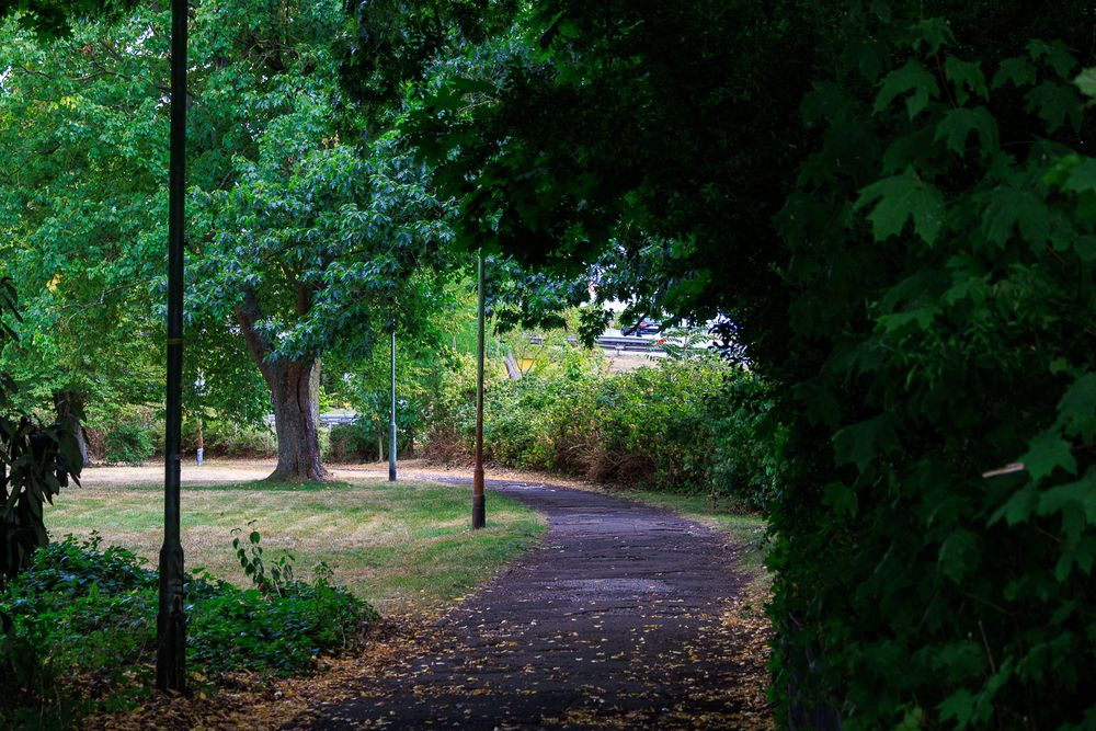 Photograph by Eduard Melnytskyi