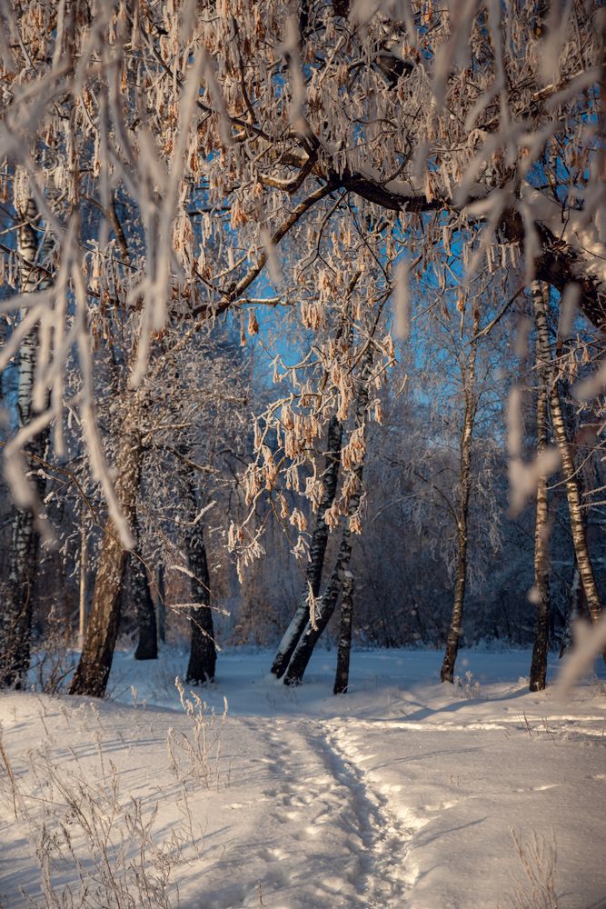 Photograph by Маргарита Матвеенкова