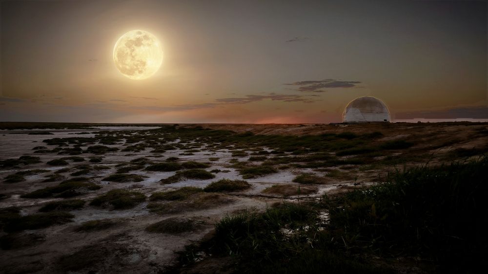 Photograph by Ольга Стоун