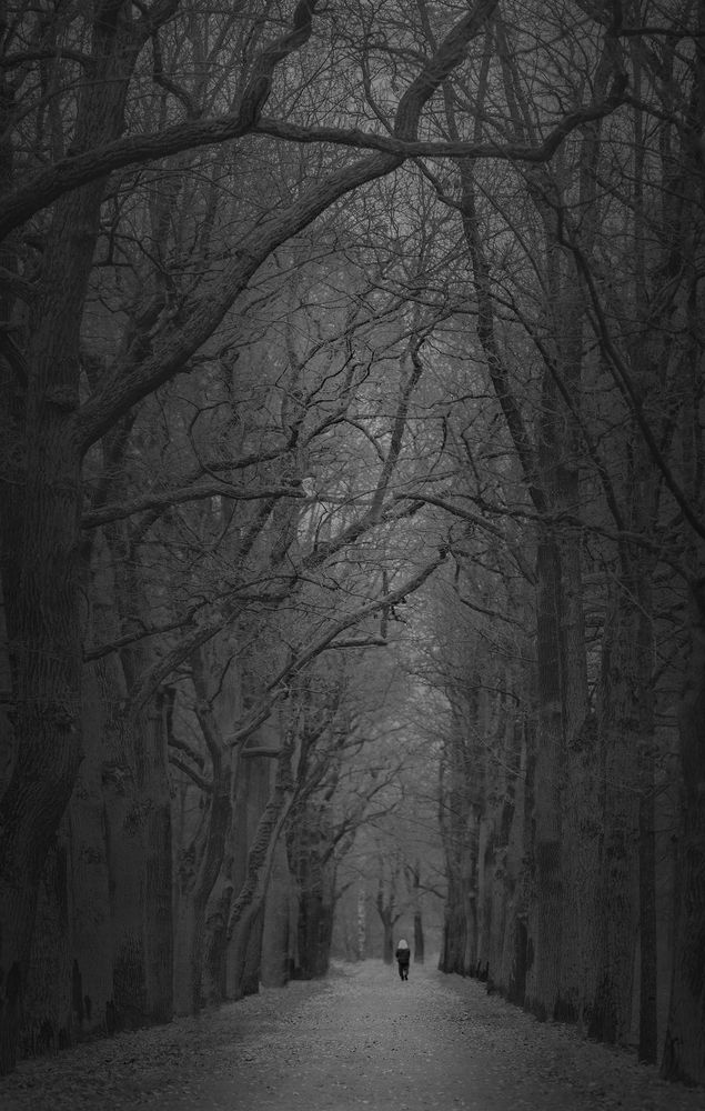 Photograph by Анжелика Титова