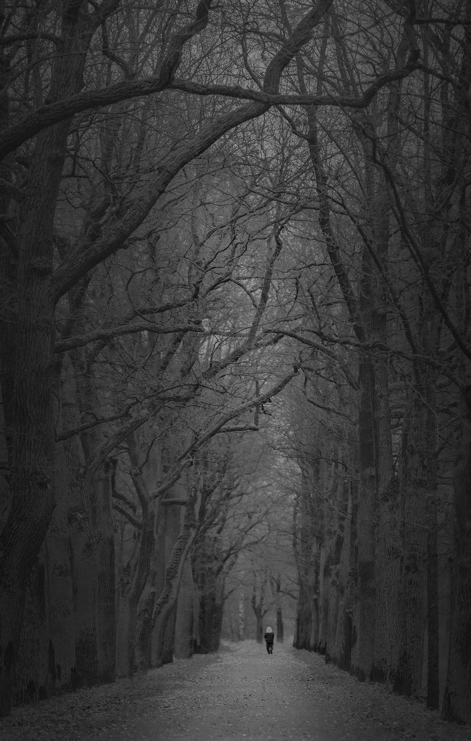 Фотография #13081738