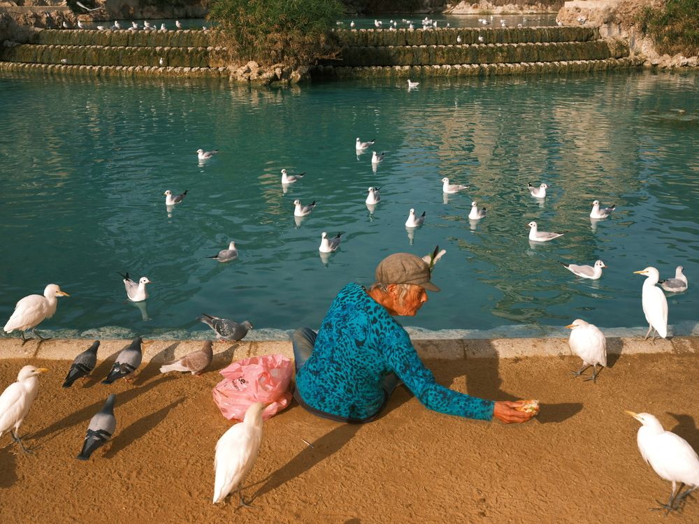 Photograph by Alfonso Bricegno