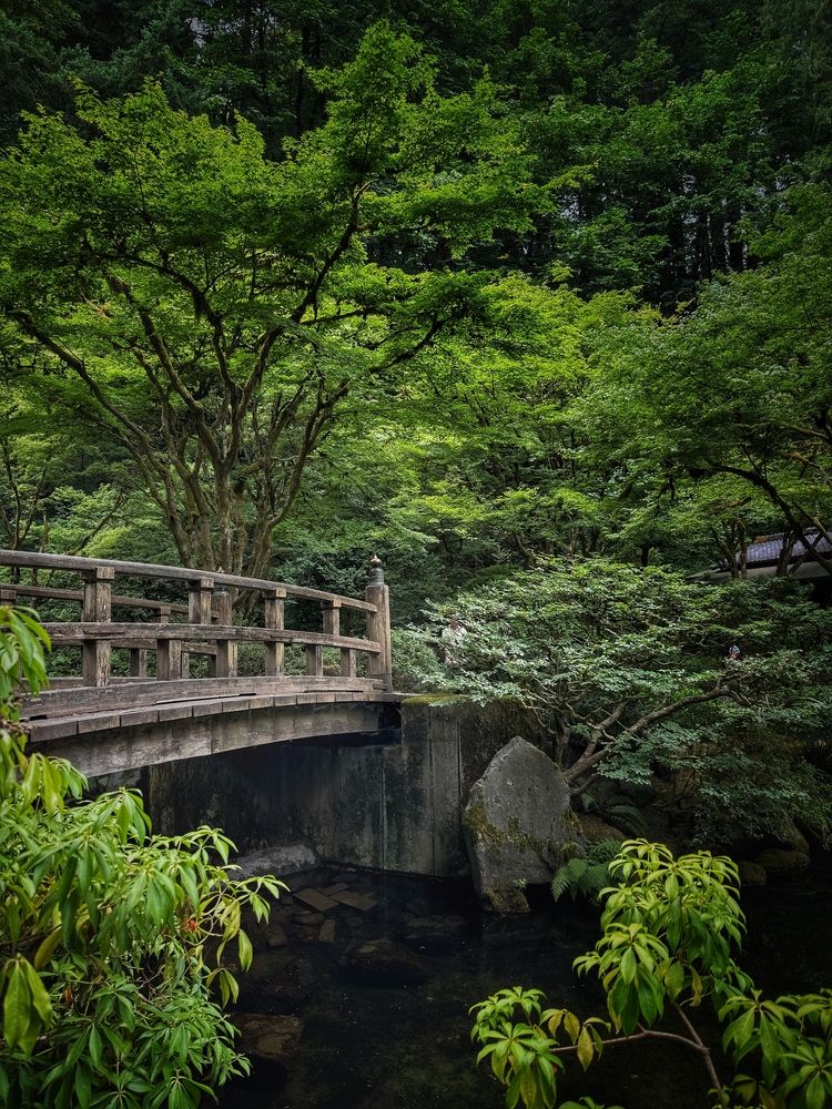 Photograph by Юлия Порфирьева