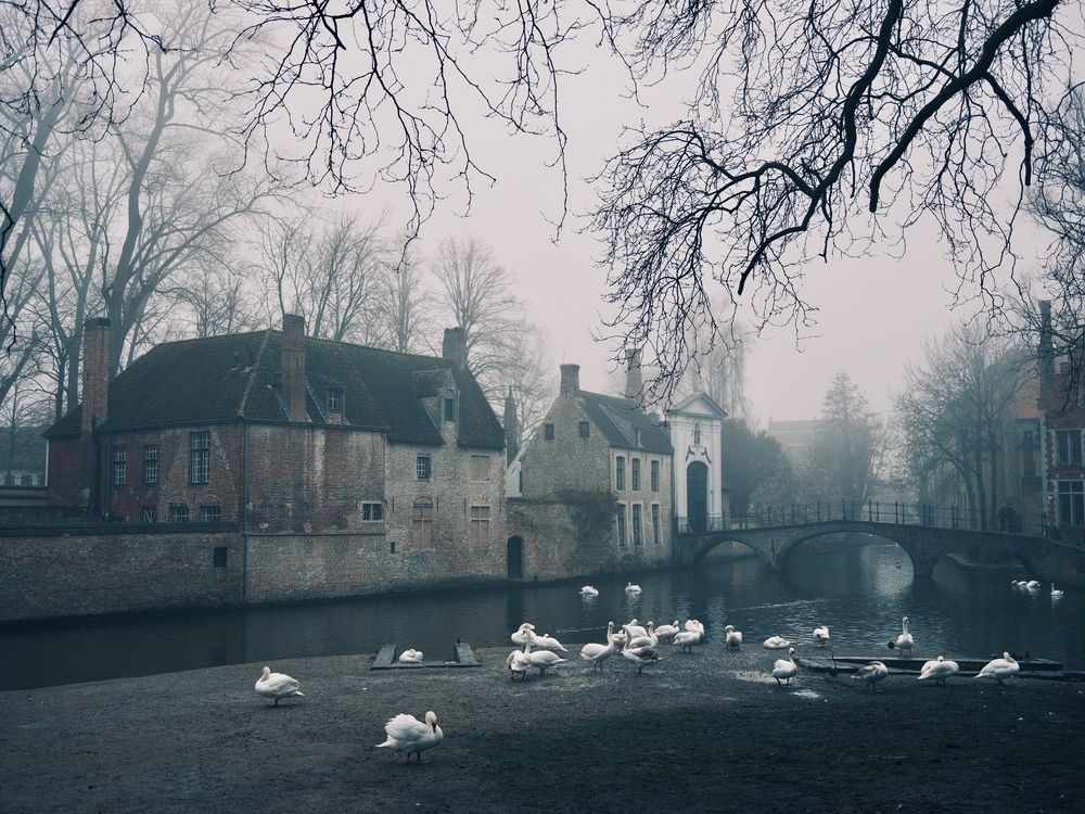 Photograph by Alfonso Bricegno