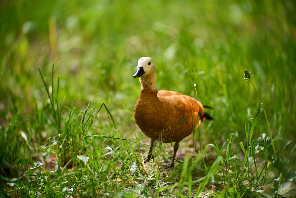 Photograph by Игорь Кад