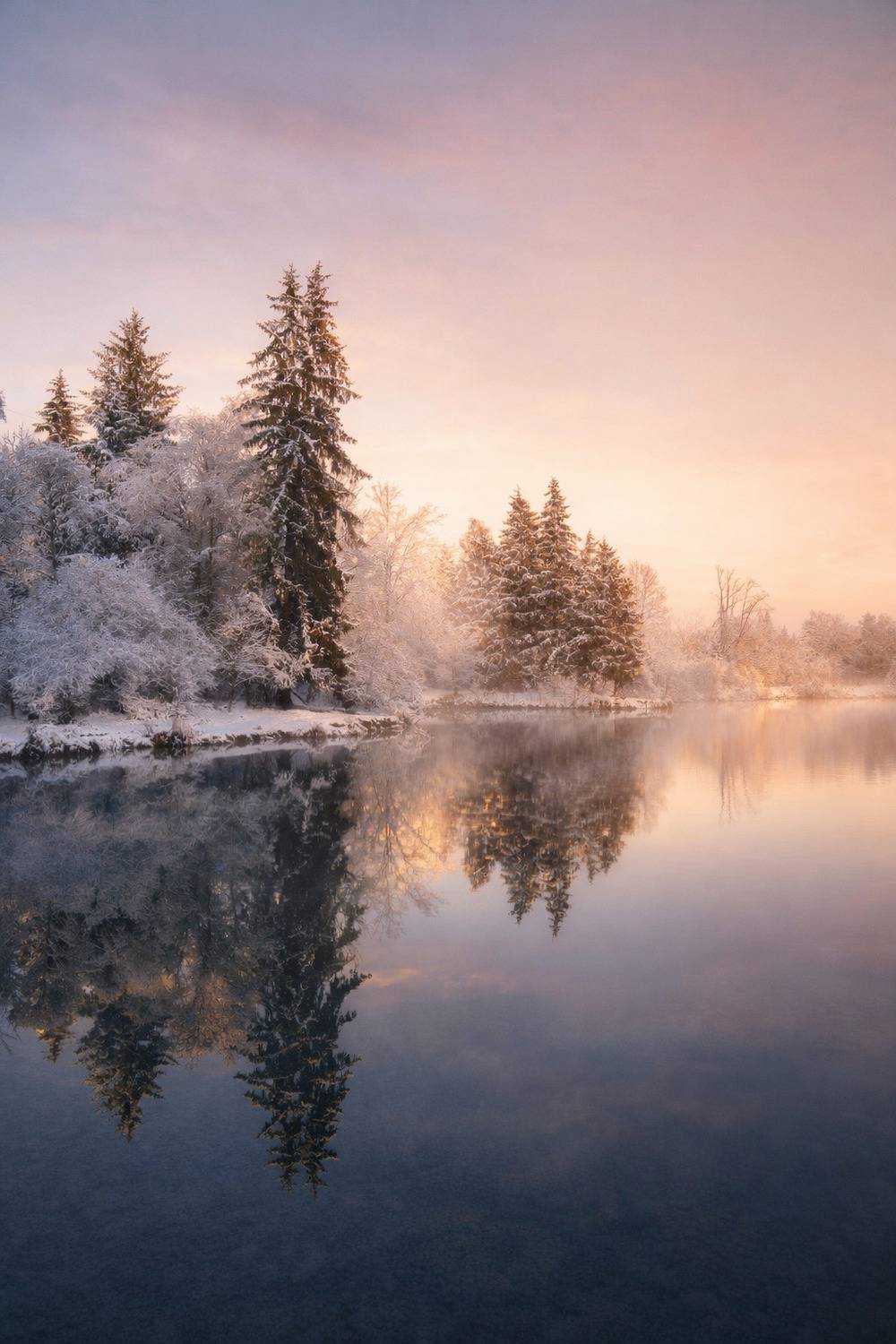 Фотография #13081788