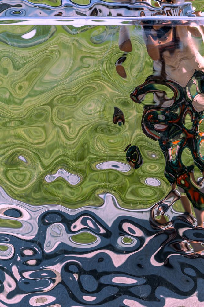 Photograph by Сагдиева Эльвира