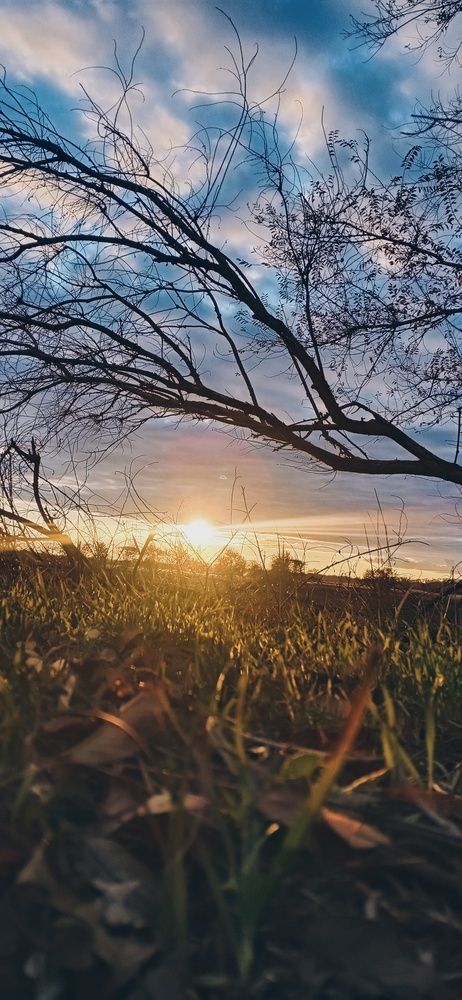 Photo #13081847