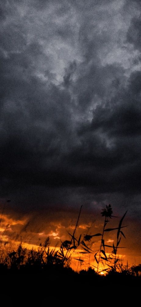 Photograph by Инна Базилева