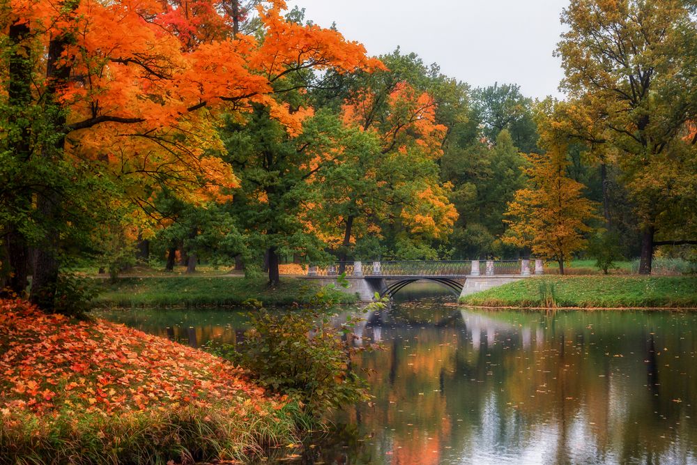 Photograph by Дмитренко Екатерина