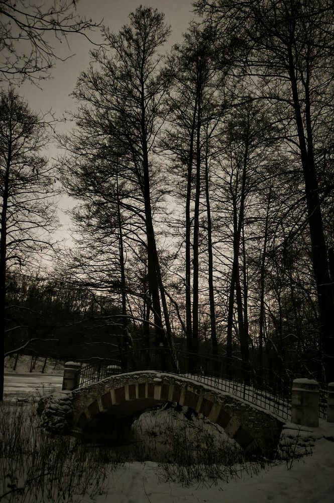 Photograph by Анна Липилина