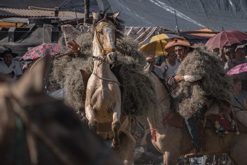 Фотография автора Erich Conzelmann