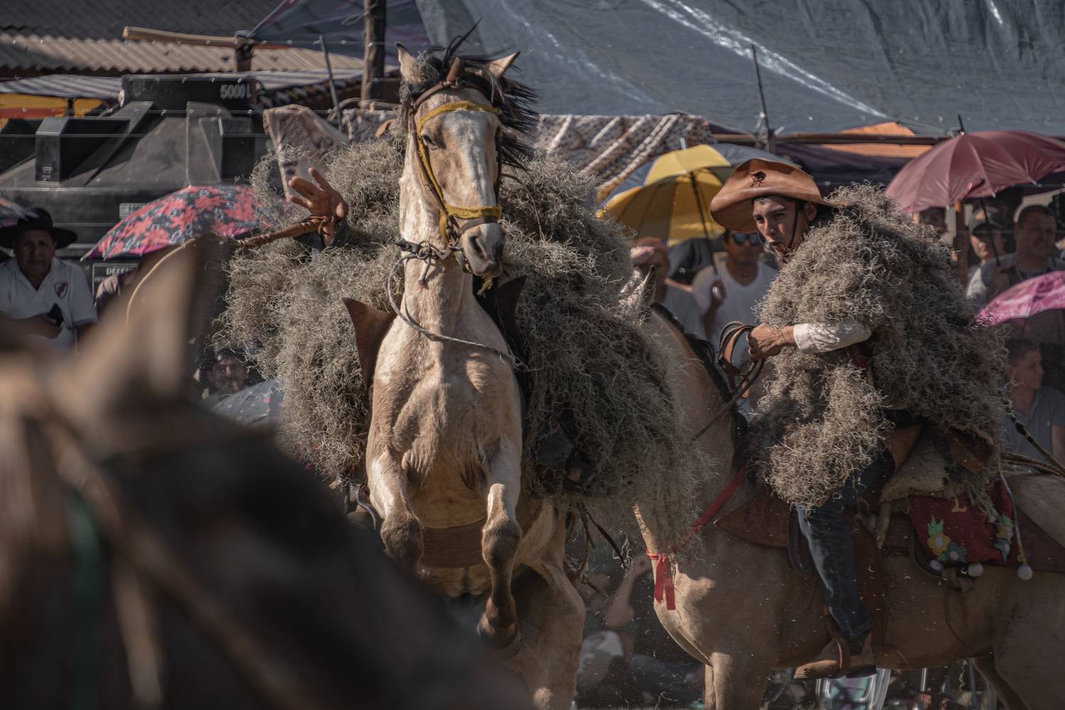 Фотография #13081928