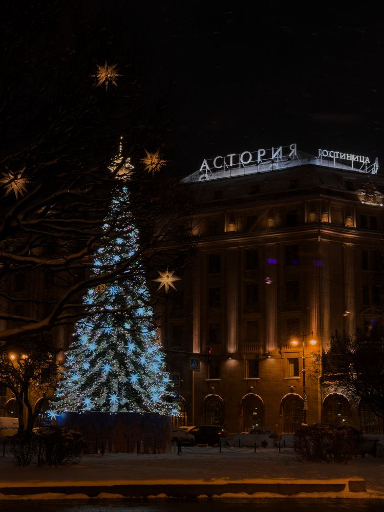 Photograph by Ася Жгенти