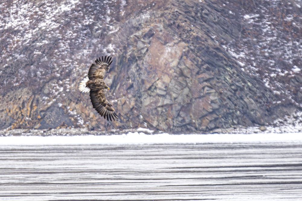 Photograph by Андрей Михайлов