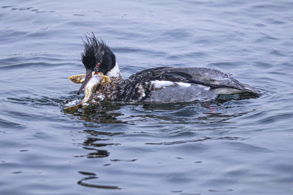 Photograph by Андрей Михайлов