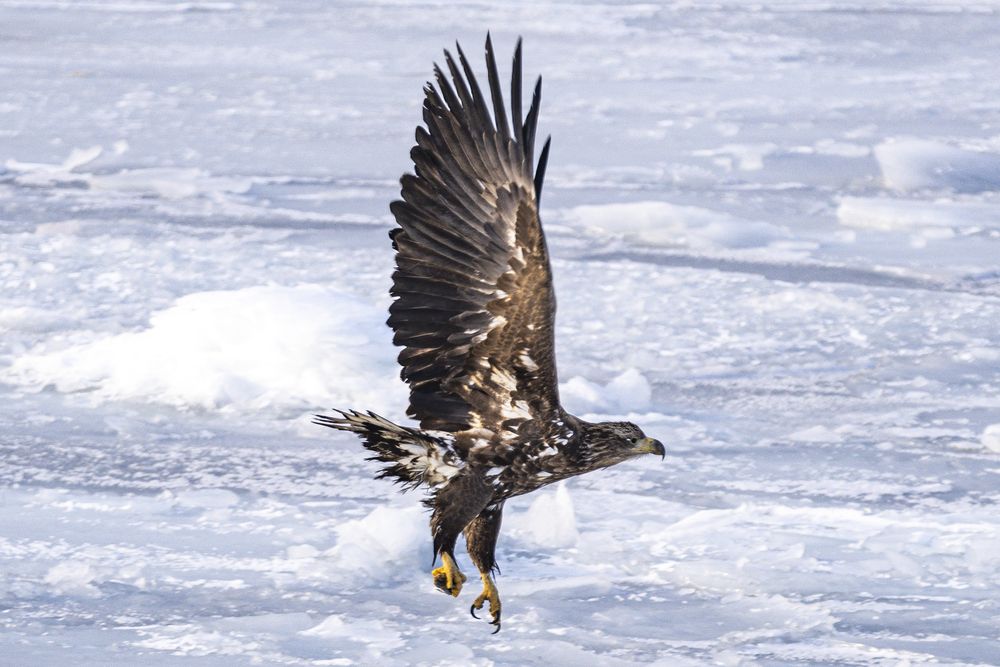 Photograph by Андрей Михайлов