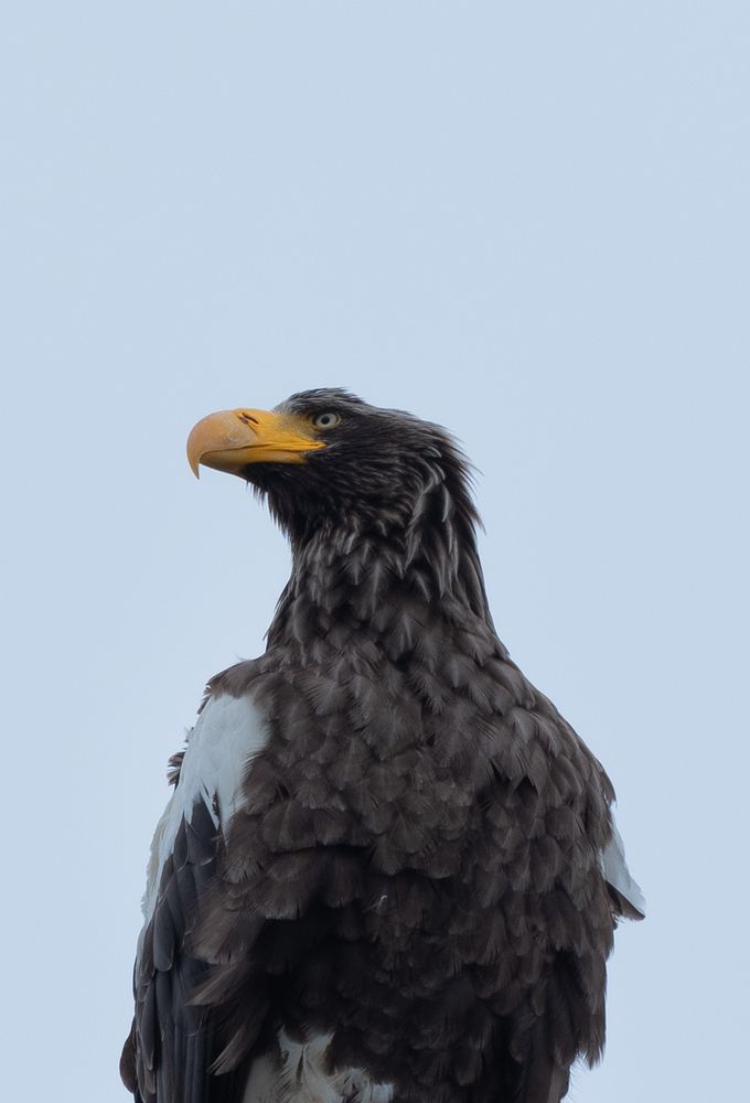 Photograph by Хазан Сергей