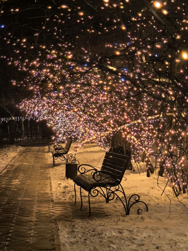 Photograph by Анастасия