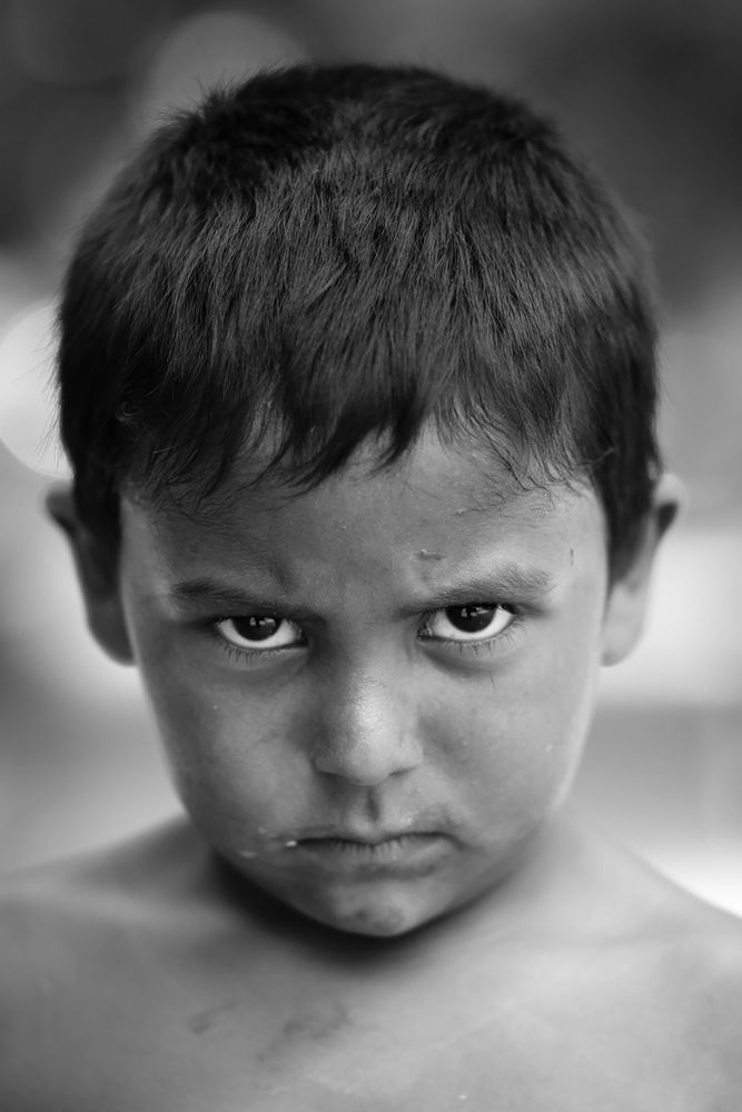 Фотография автора George Grizhev