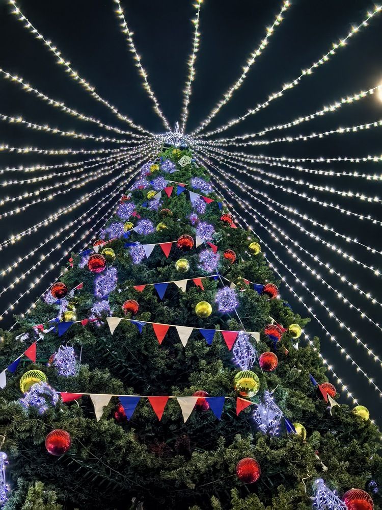 Photograph by Анастасия