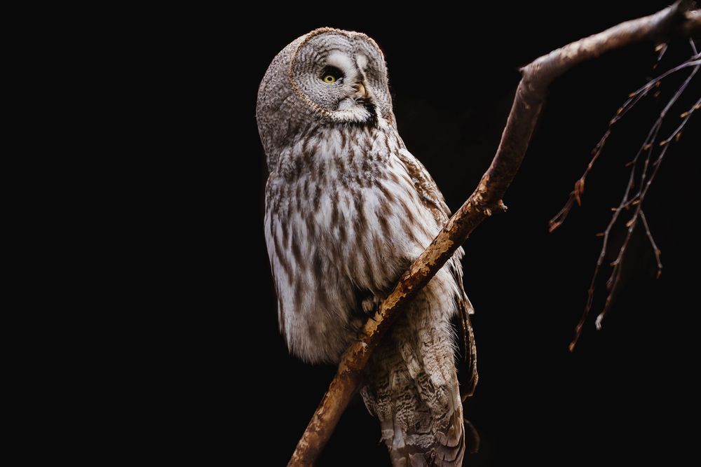 Photograph by Юлия Бец