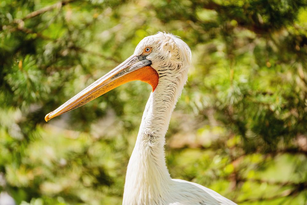 Photograph by Юлия Бец