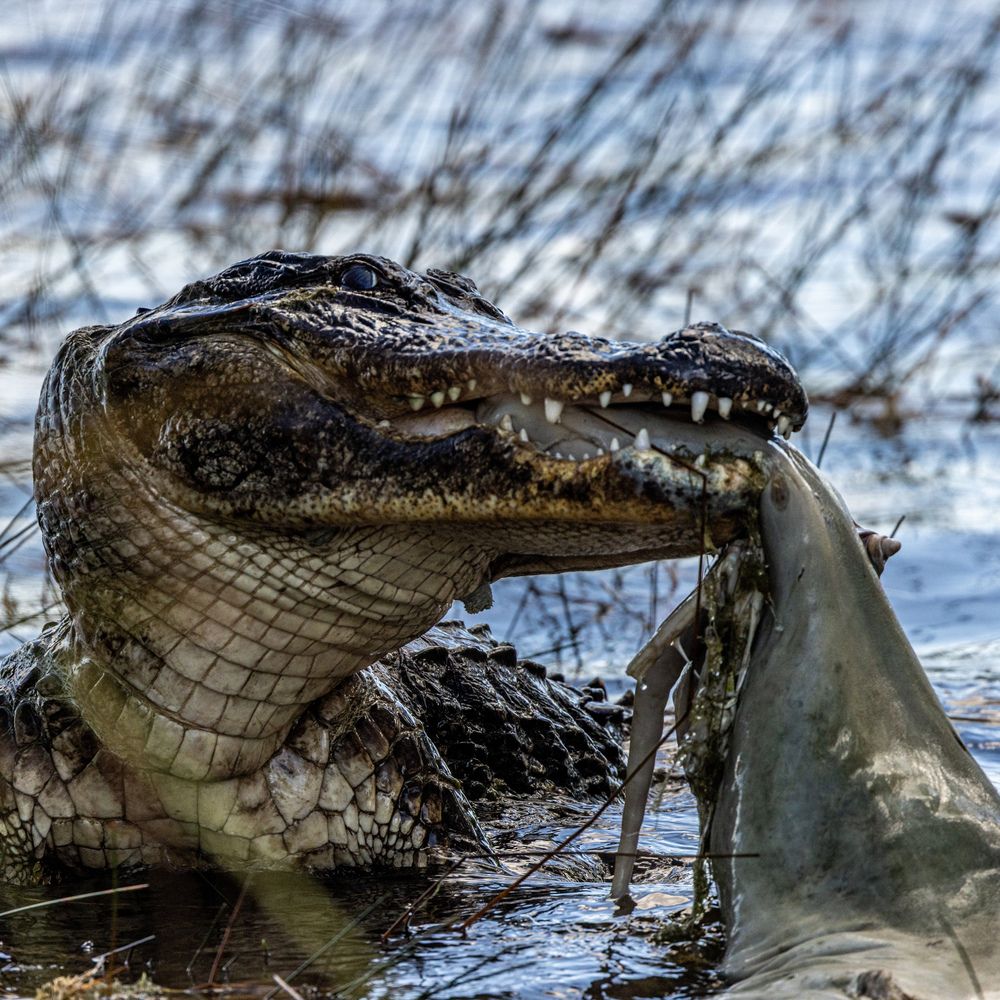 Photograph by Andre estevez