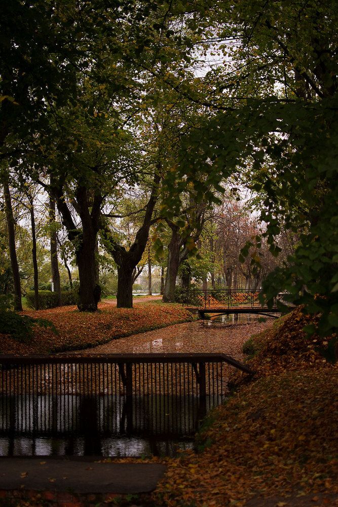 Photograph by Ася Жгенти