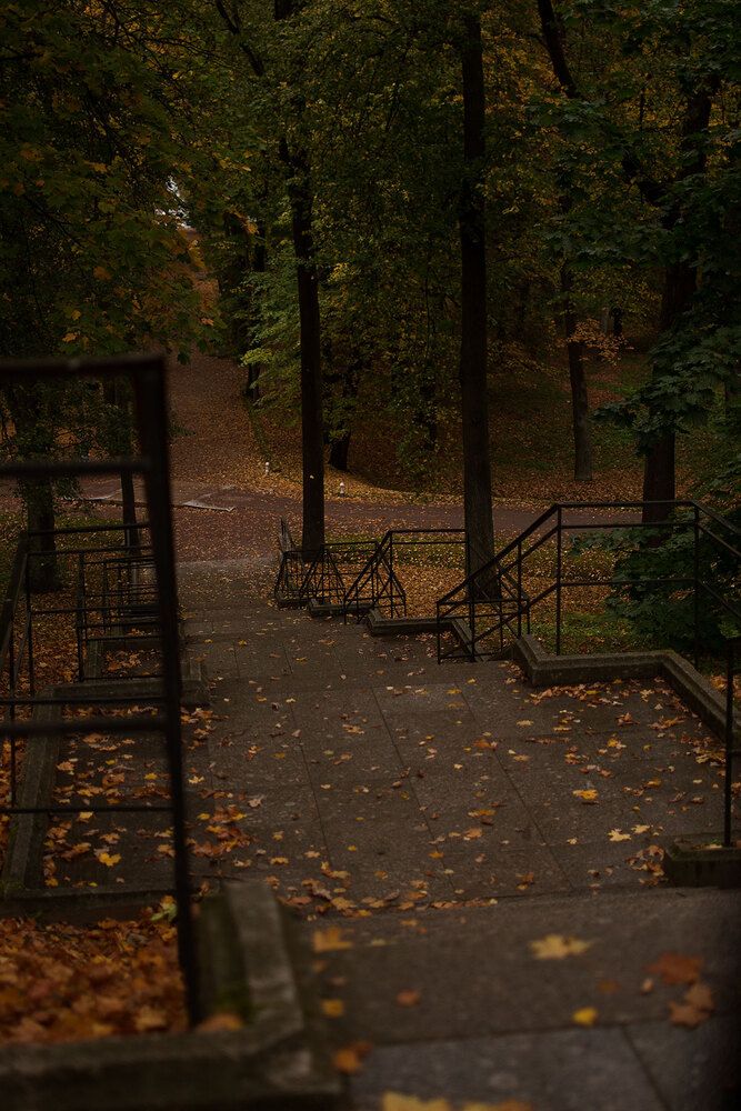 Photograph by Ася Жгенти