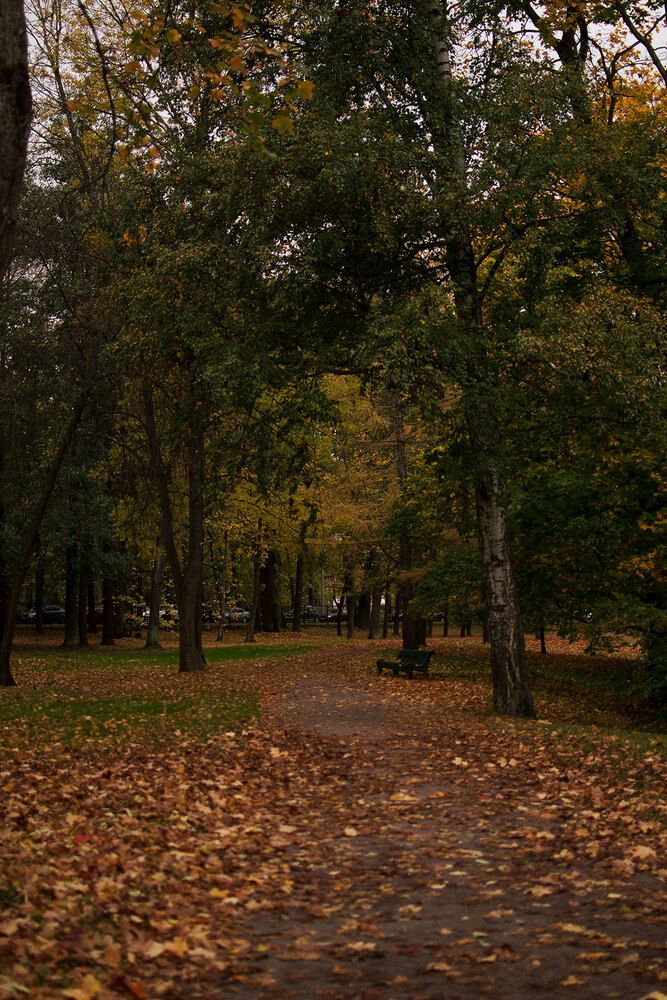 Photograph by Ася Жгенти