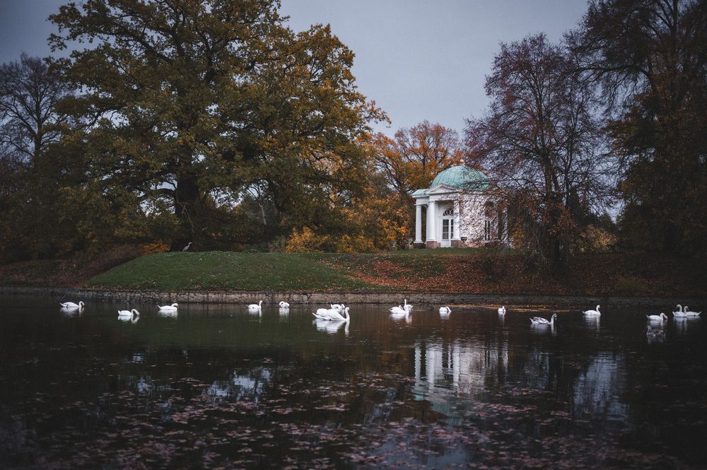 Photograph by Elena Papadopoulou