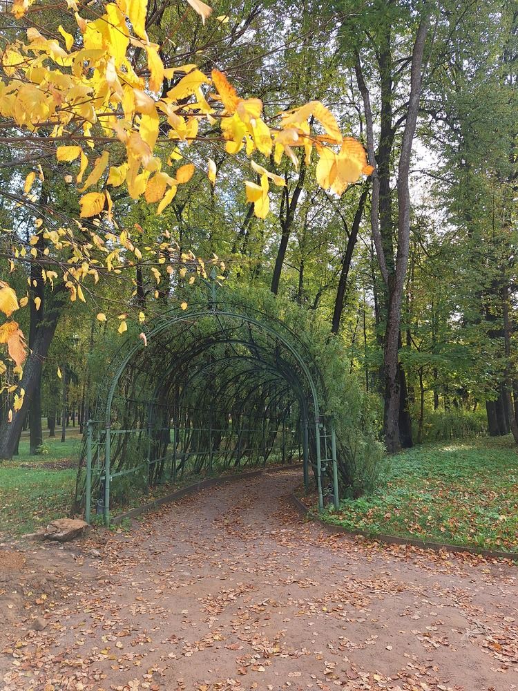 Photograph by Natalia Lebedeva