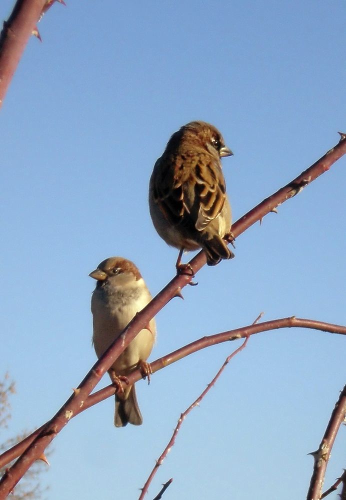 Photograph by Роман Савоцкий