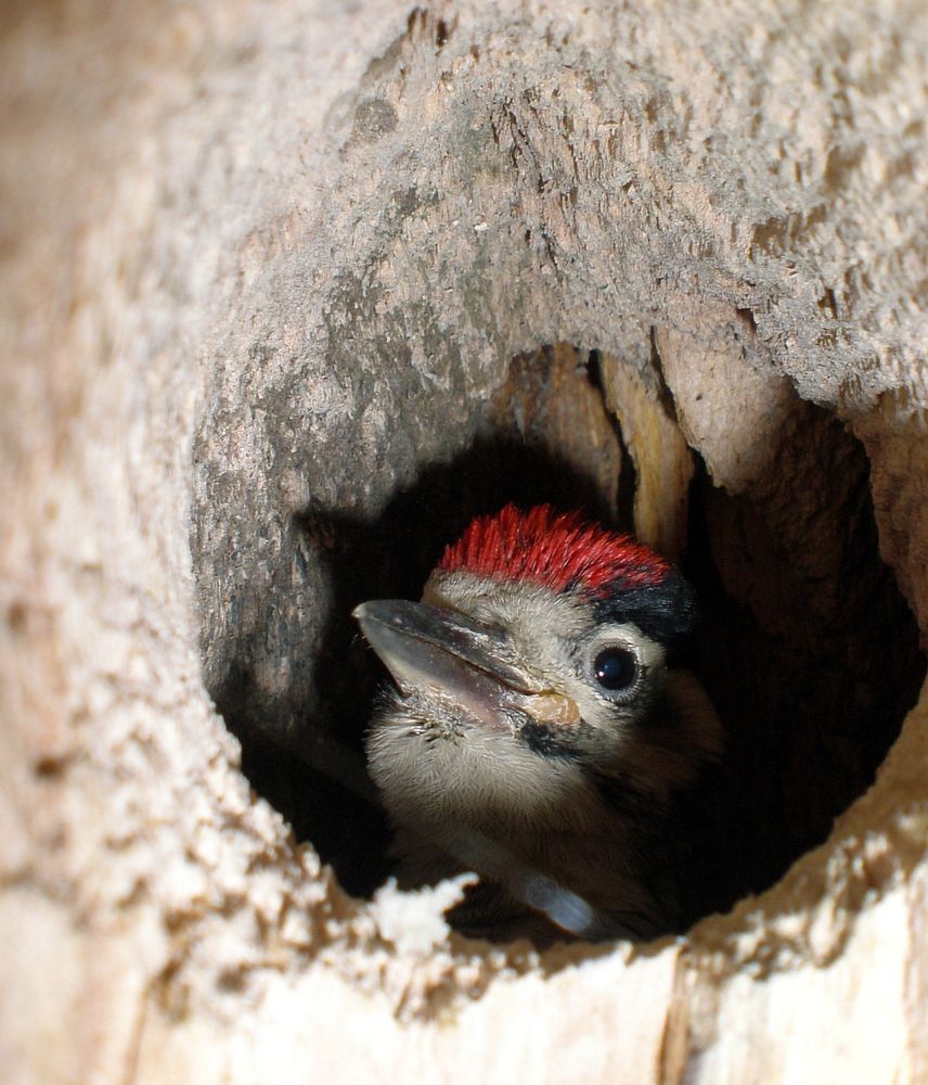 Photograph by Роман Савоцкий