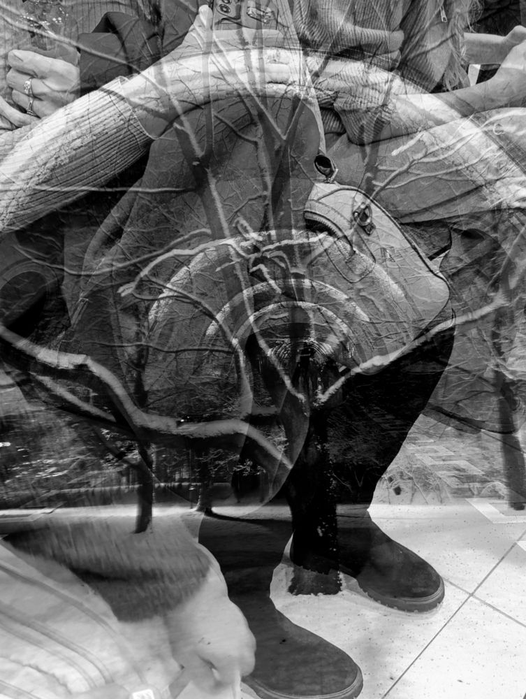 Photograph by Елена Шишкина