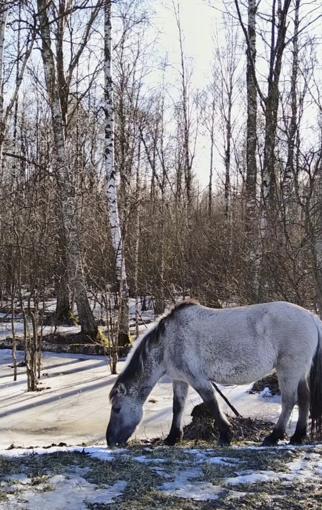 Фотография автора Дмитрий Сугако