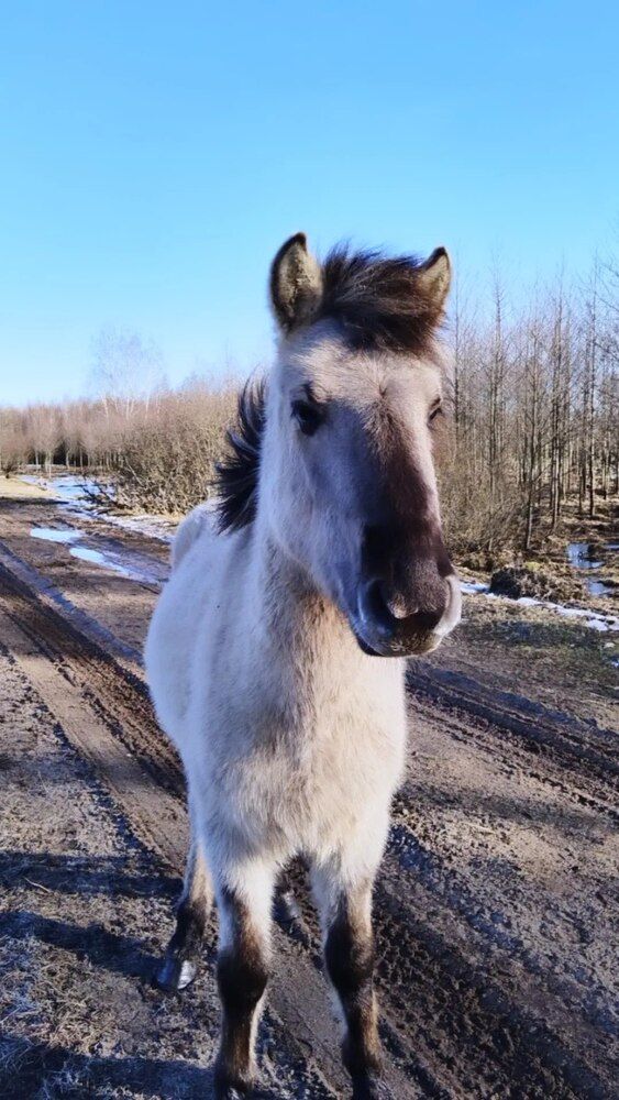 Фотография автора Дмитрий Сугако