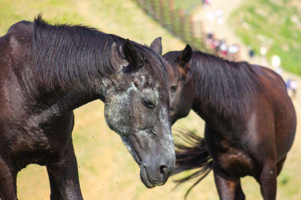 Photograph by Пичугин Артём