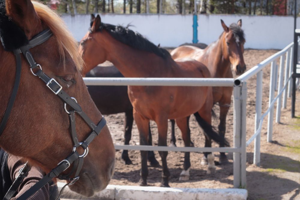 Photograph by Анастасия Брызгунова