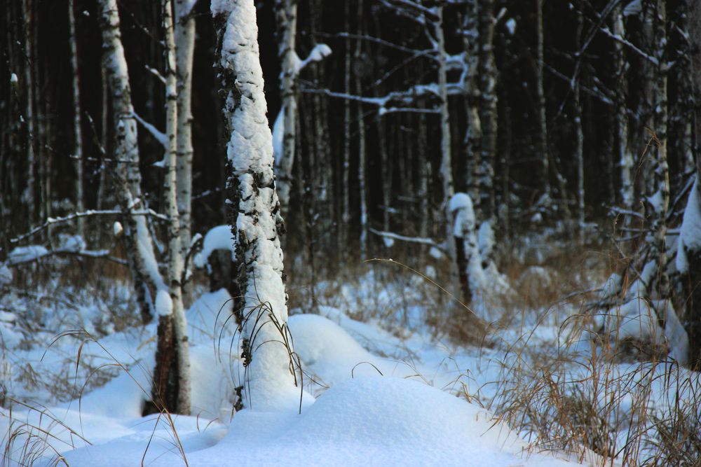 Photograph by Полина Овчинникова