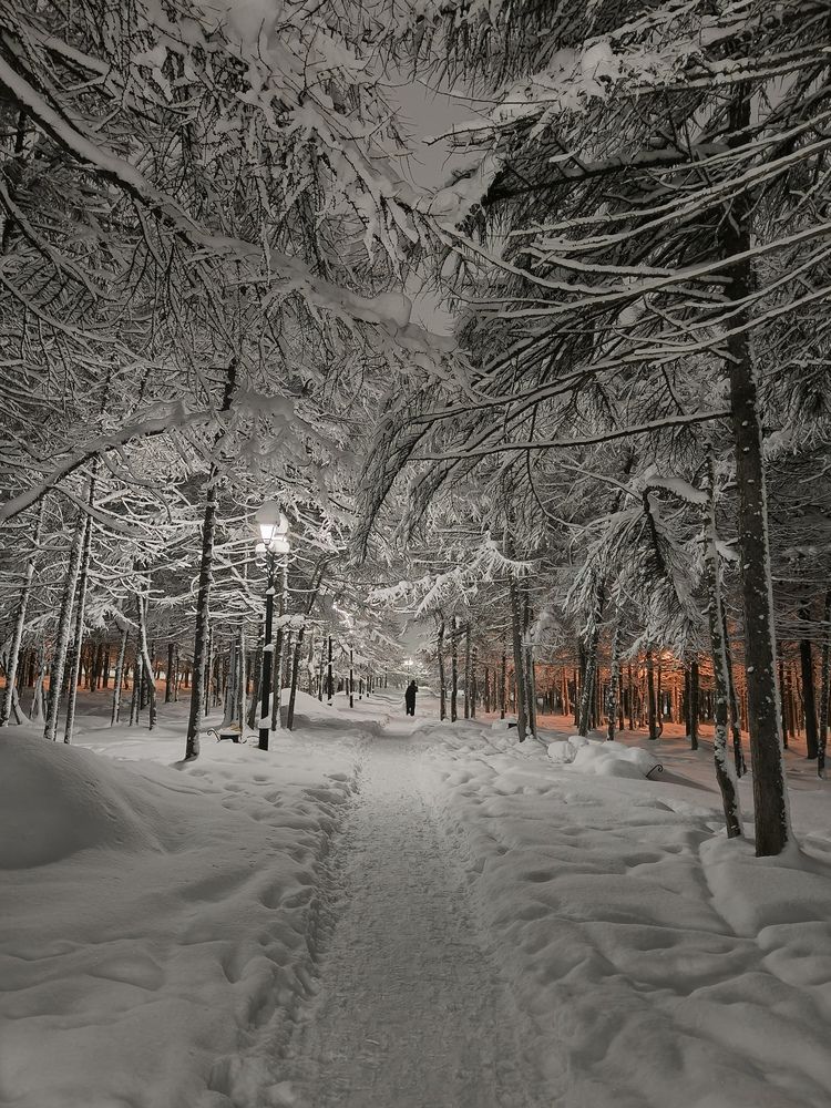 Фотография автора Маргарита Погодина