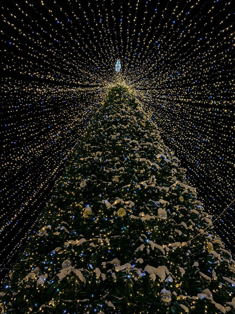 Photograph by Мария Василенко