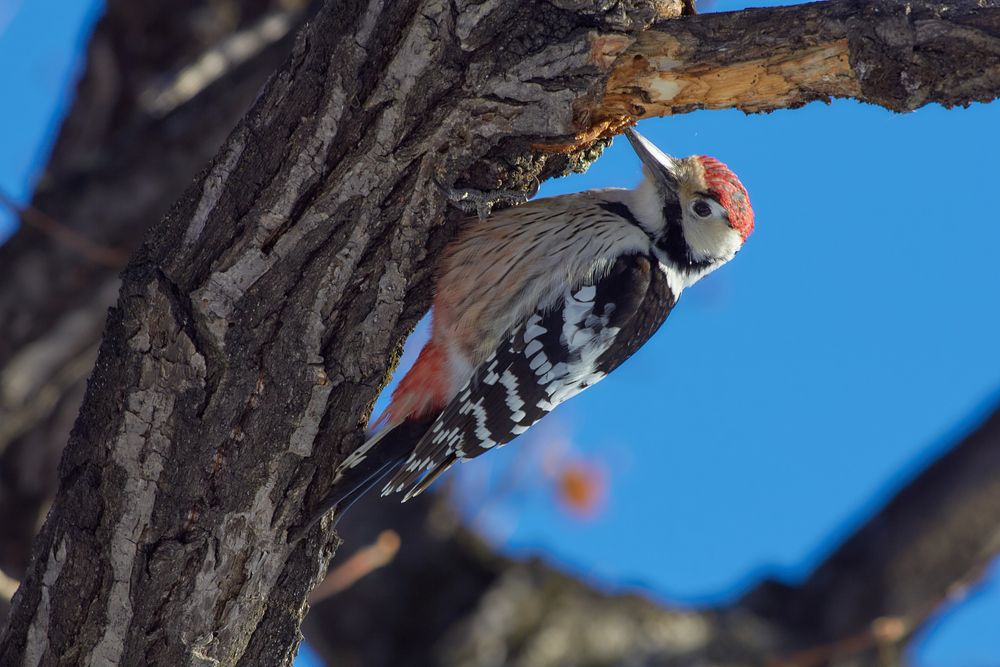 Photograph by Наталия Мащенко